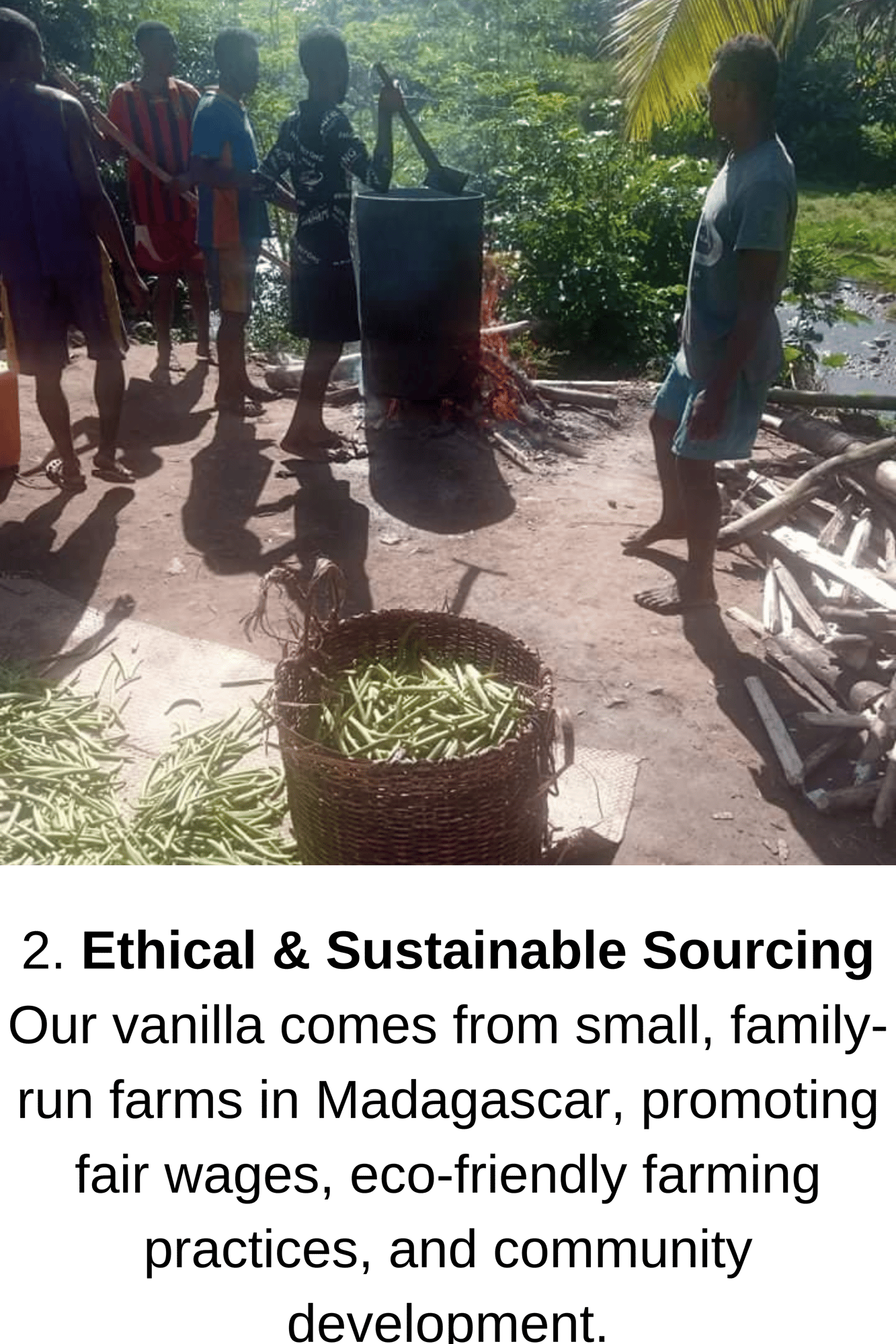 1. Pure, Premium Quality We source only the finest Madagascar vanilla, ensuring every product is rich in authentic flavor and free from additives. (3)-2