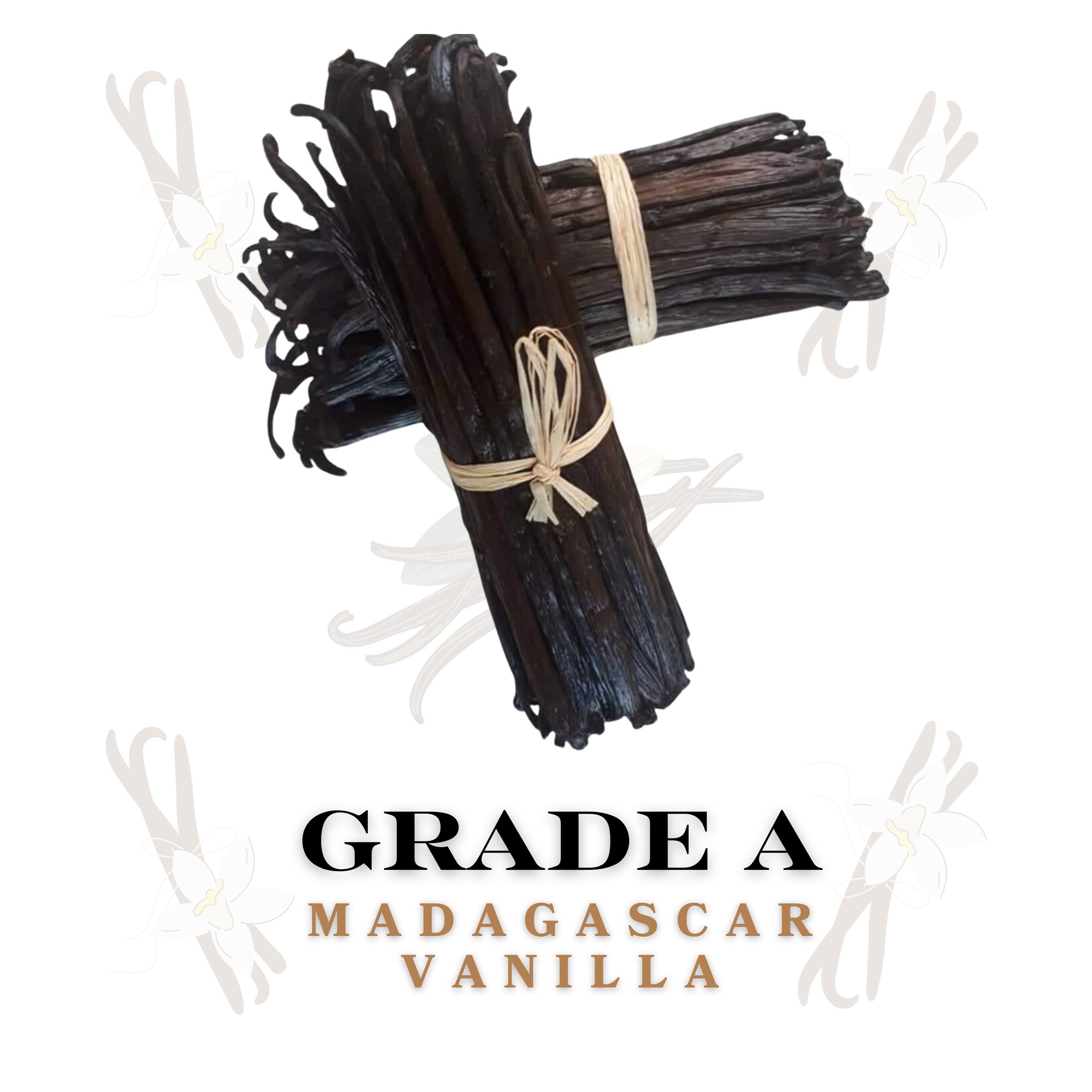 Vanilla Grade A-1