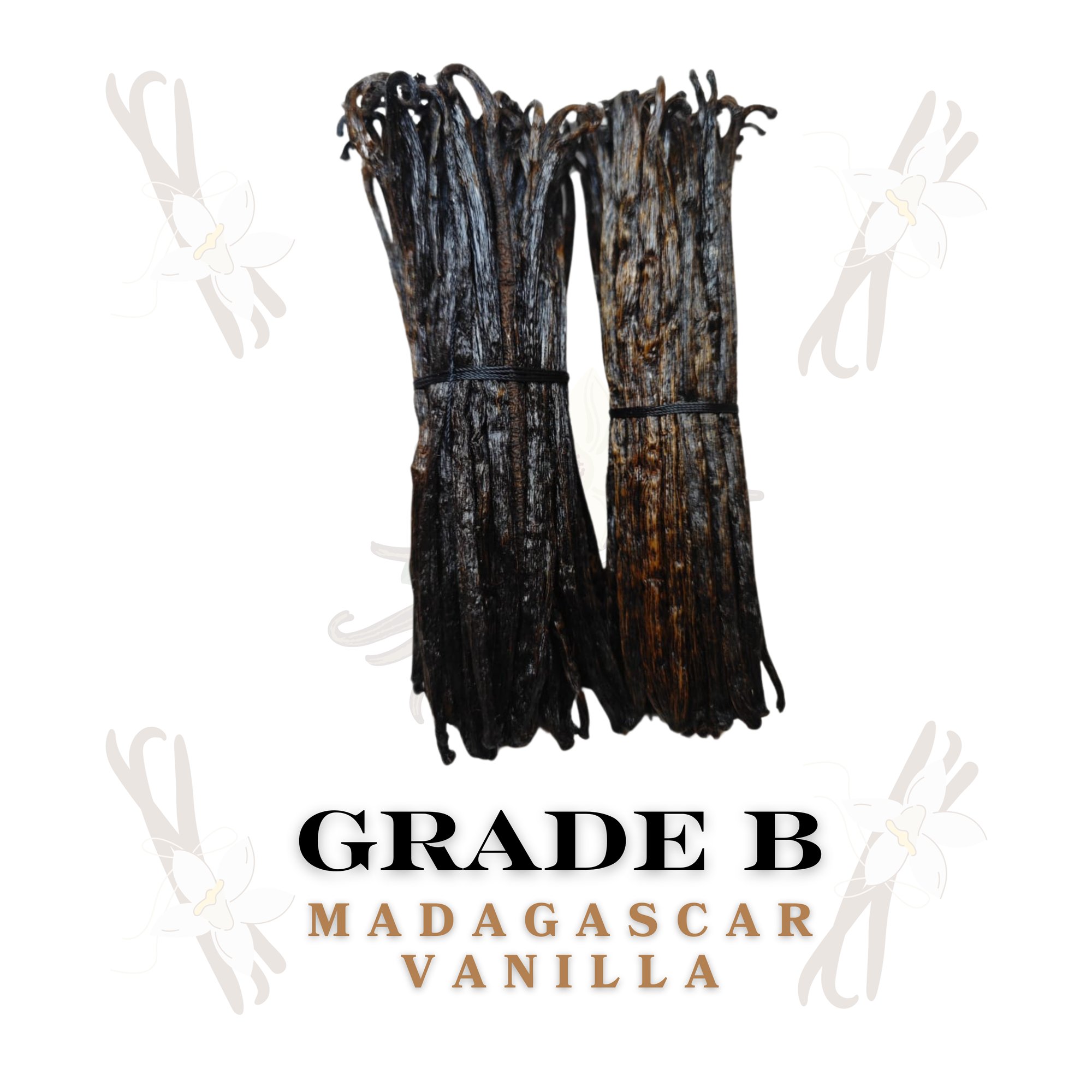 Vanilla Grade B